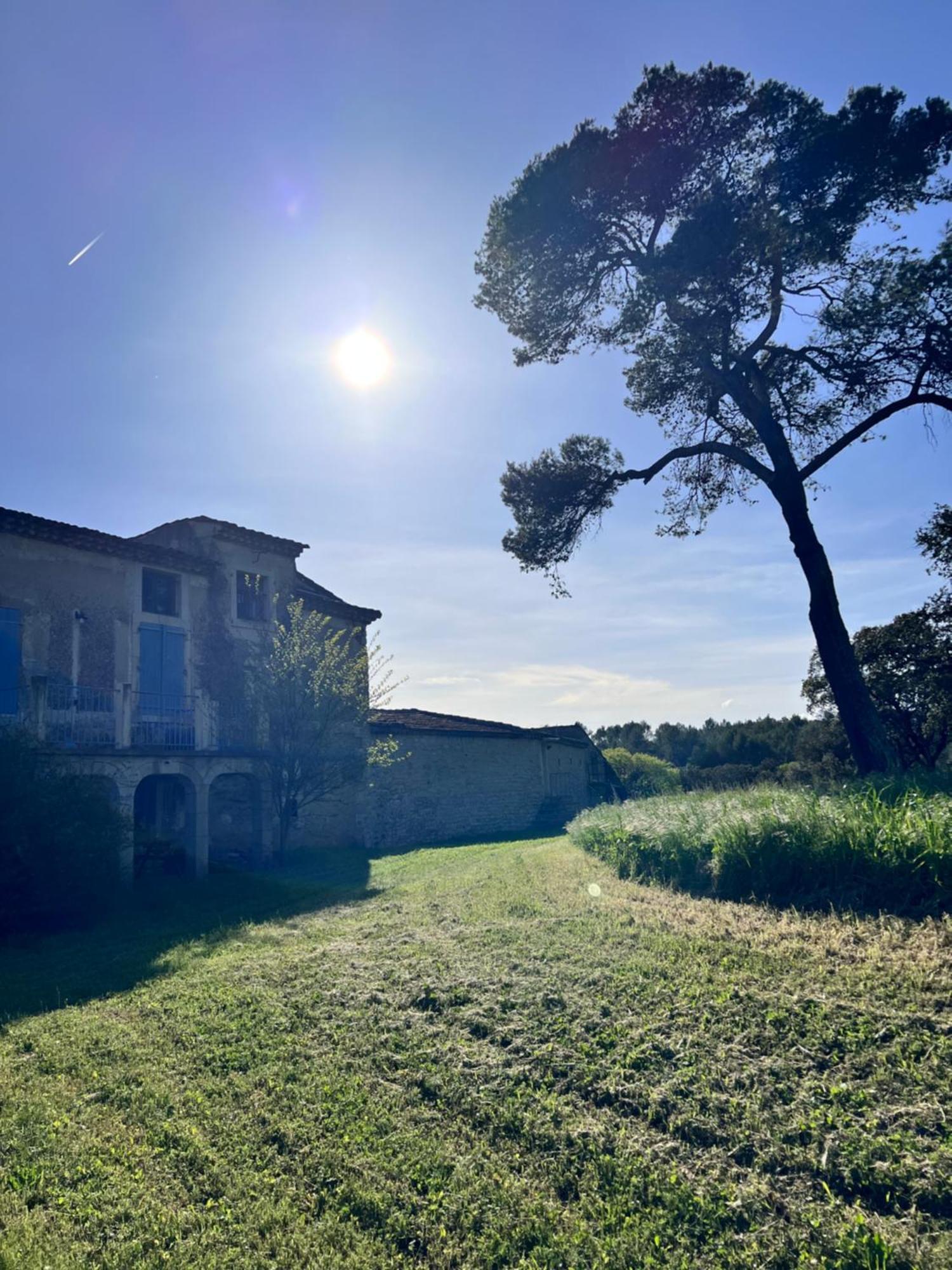 Le Mas Du Gentilhomme Chambre Lavande Orthoux-Sérignac-et-Quilhan Extérieur photo